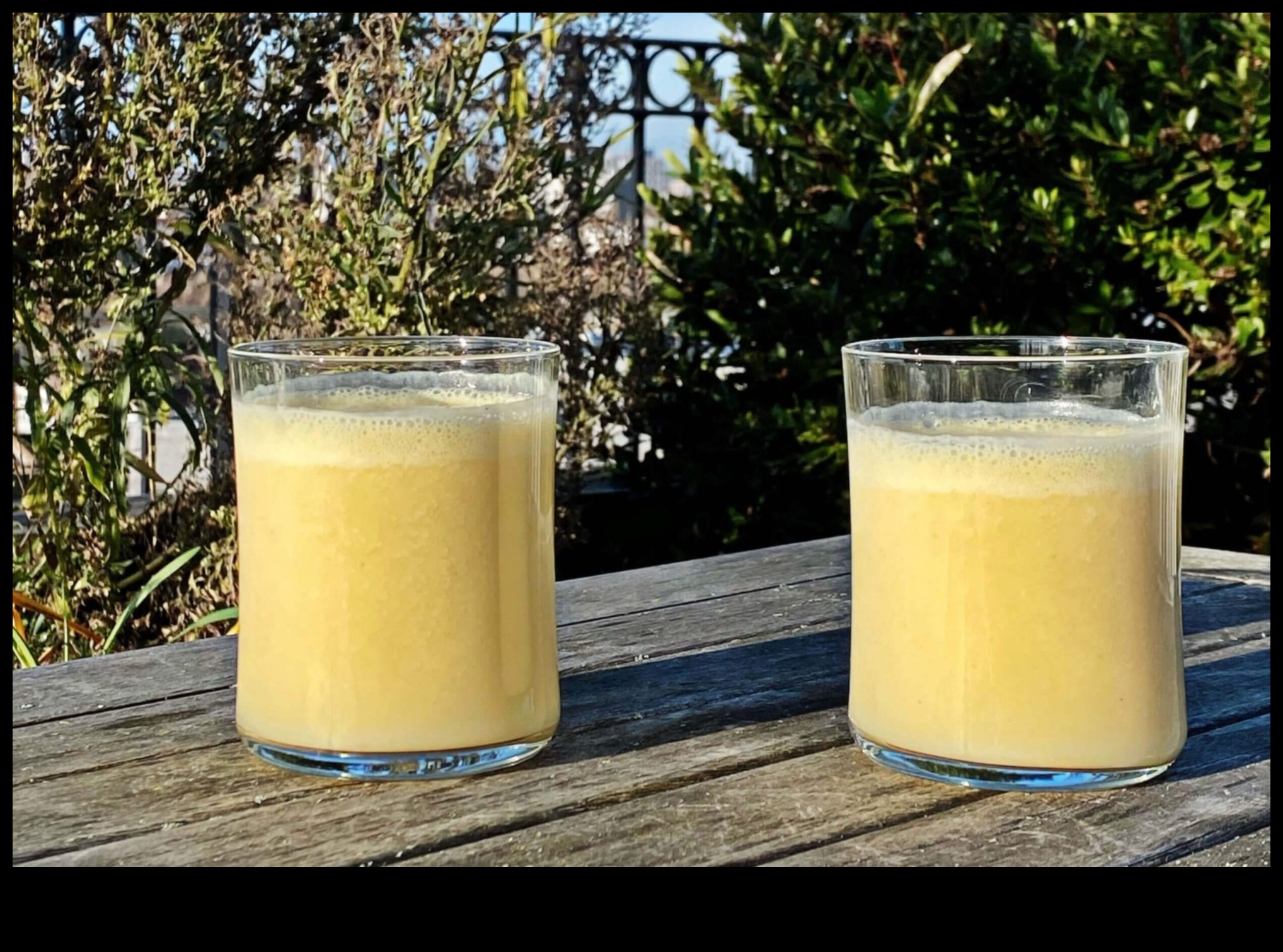 בריחה לגן עדן טרופי לניקוי רעלים עם Juicing 2 טרופי ריטריט: העבר את עצמך לגן עדן גמילה עם מיצים