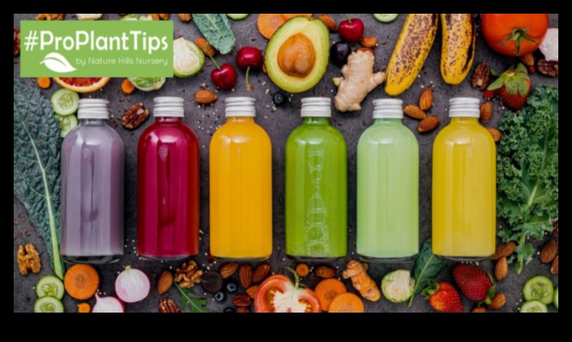 Garden Fresh דרך טעימה ומזינה לחקור את עולם מיצי הירקות 2 גן טרי: חקור את העולם של מיצי ירקות ארוזים בחומרים מזינים