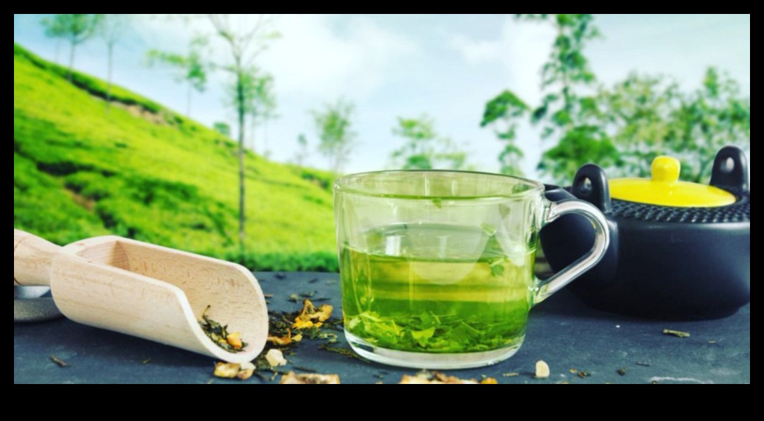 מגמות תה ירוק קר מבט על החידושים האחרונים בתעשיית התה 3 טרנדים של תה ירוק קר: חקור את החידושים האחרונים והטובים ביותר בתחום חדשנות התה