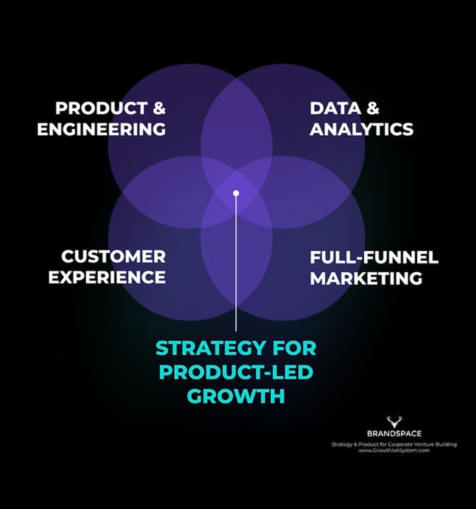 בריתות אסטרטגיות: גישות שיתופיות לצמיחה יזמית