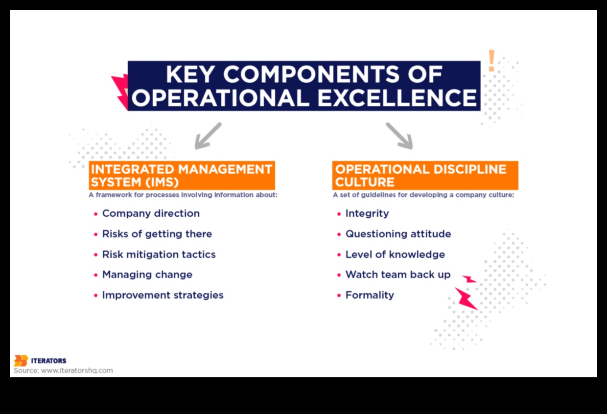 אלכימאי התהליך הממיר אסטרטגיות להצלחה באמצעות מצוינות תפעולית 4 האלכימאי התהליך: הפיכת אסטרטגיות להצלחה