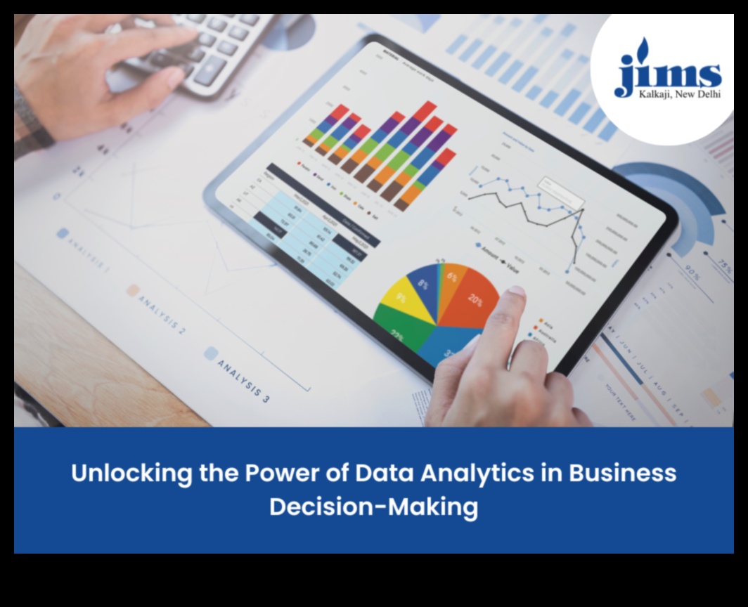 פתיחת הכוח של יוזמות אנליטיקה עסקית כיצד להניע חדשנות 5 חדשנות משוחררת: הכוח של יוזמות אנליטיקה עסקית