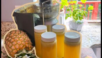 טרופי ריטריט: העבר את עצמך לגן עדן גמילה עם מיצים