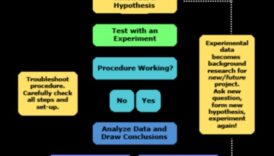 בריתות שיטות מדריך משחקי פריצה לצמיחה עבור סטארט-אפים 1 בריתות אסטרטגיות: גישות שיתופיות לצמיחה יזמית