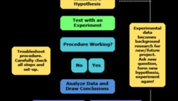 בריתות אסטרטגיות: גישות שיתופיות לצמיחה יזמית