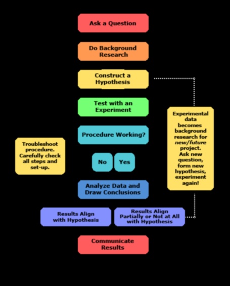בריתות אסטרטגיות: גישות שיתופיות לצמיחה יזמית