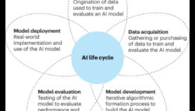 המצפן העסקי מידע לניווט בנוף הדוגמנות 3 המצפן העסקי: ניווט בנוף הדוגמנות