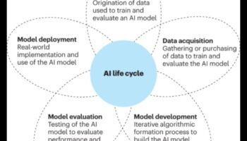 המצפן העסקי: ניווט בנוף הדוגמנות