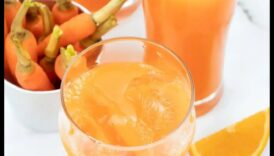 סימפוניית גזר-כתום משקה נחמד ומושך ליום עונת קיץ מרענן 4 סימפוניה גזר-תפוז: הרמוניזת טעמים במשקה המרענן שלך